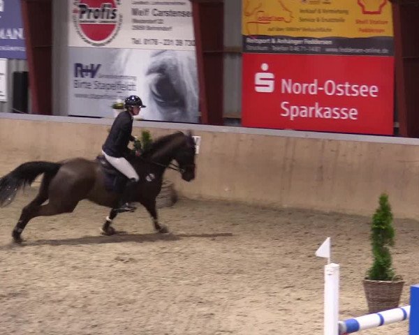 Behrendorfer Winterturnier 2024
