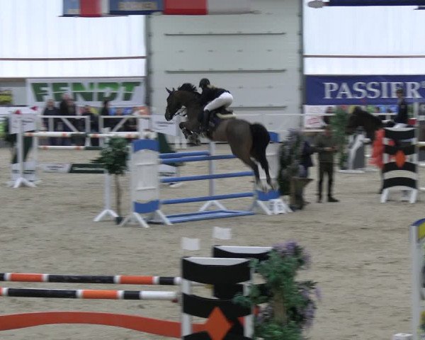 Reitturnier Borken 2024