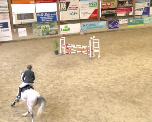 Reitturnier Schaffhausen 2024