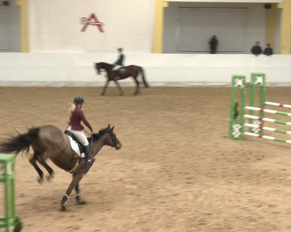 Reitturnier Stadl-Paura 2024
