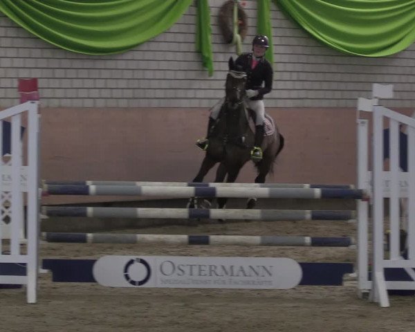 Reitturnier Hellefeld 2024