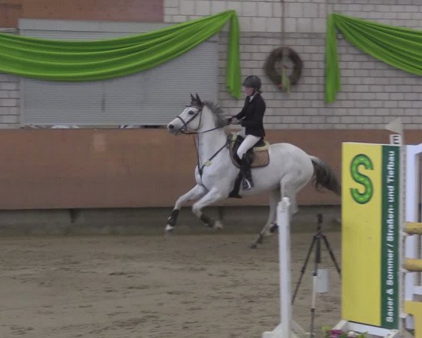 Reitturnier Hellefeld 2024