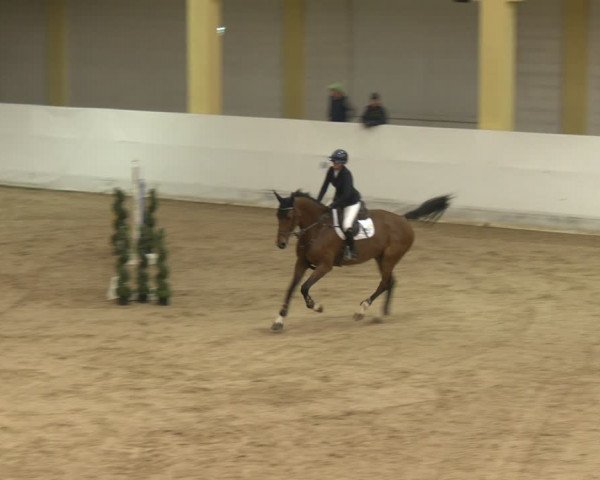 Reitturnier Stadl-Paura 2024