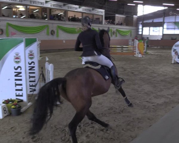 Reitturnier Hellefeld 2024