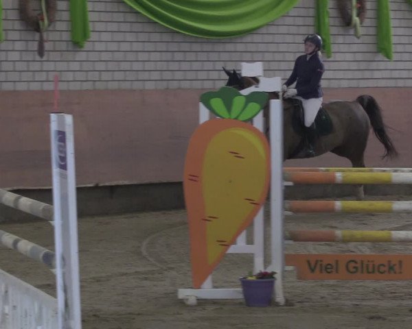 Reitturnier Hellefeld 2024