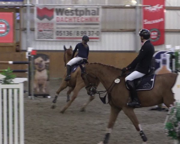 Reitturnier Schlieckau 2024