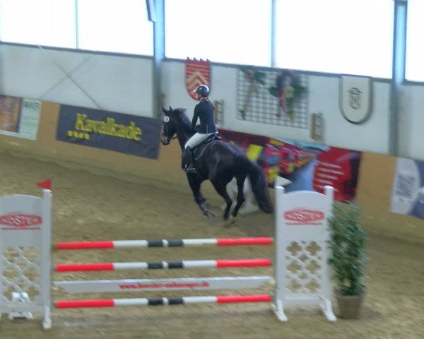 Reitturnier Borgholzhausen-Westbarthausen 2024