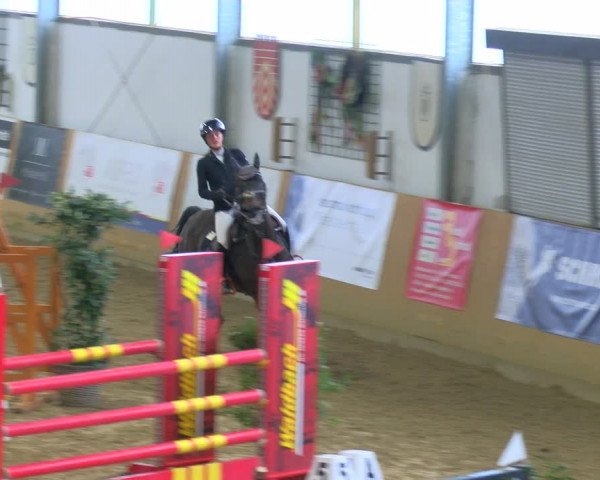 Reitturnier Borgholzhausen-Westbarthausen 2024