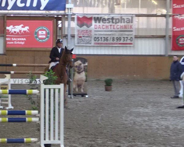 Reitturnier Schlieckau 2024