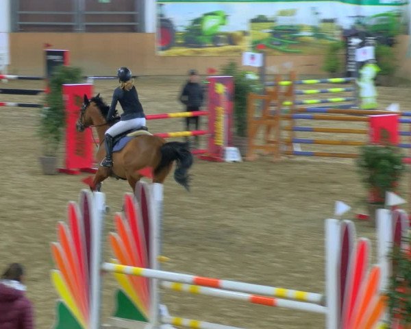 Reitturnier Borgholzhausen-Westbarthausen 2024