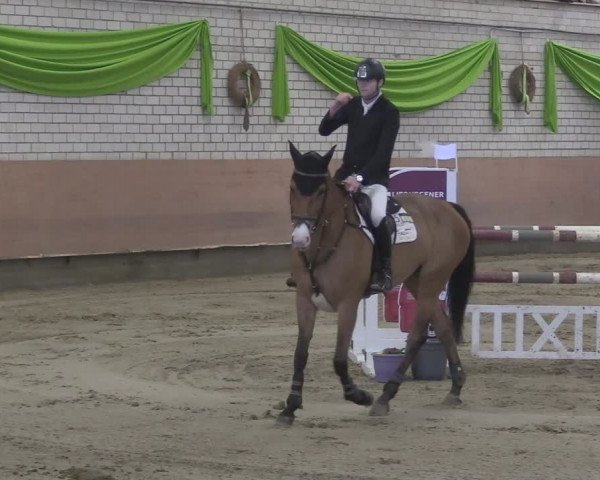 Reitturnier Hellefeld 2024