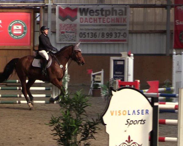 Reitturnier Schlieckau 2024