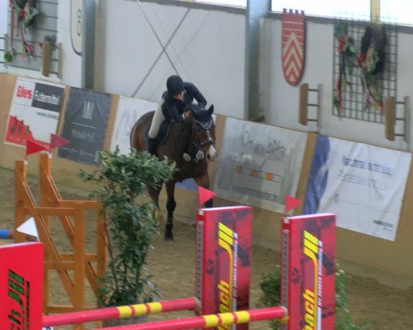 Reitturnier Borgholzhausen-Westbarthausen 2024