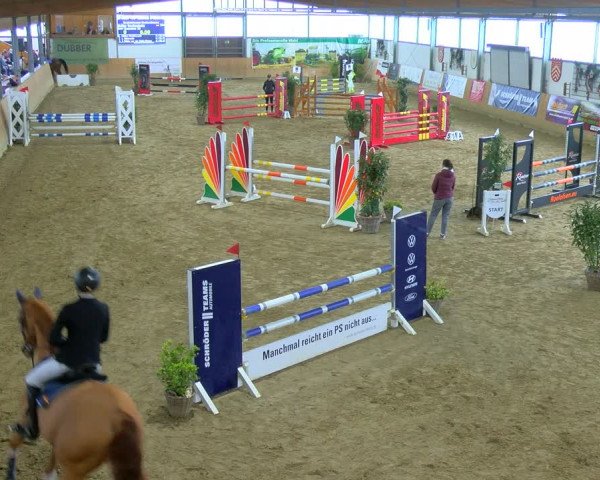 Reitturnier Borgholzhausen-Westbarthausen 2024