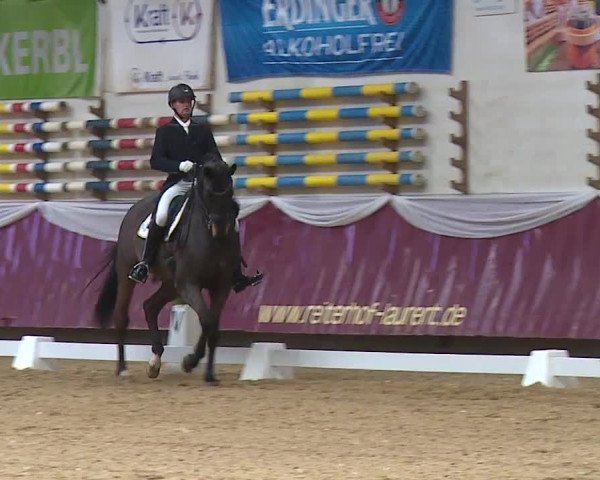 Reitturnier Eicherloh RH Laurent/Obb. 2024