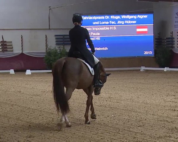 Reitturnier Eicherloh RH Laurent/Obb. 2024