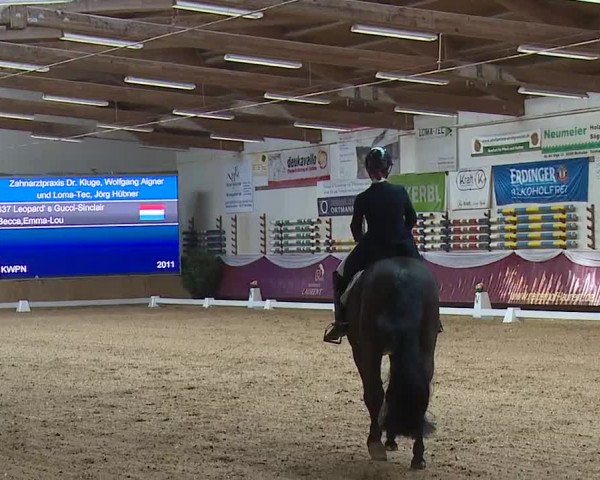 Reitturnier Eicherloh RH Laurent/Obb. 2024