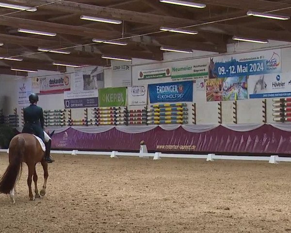 Reitturnier Eicherloh RH Laurent/Obb. 2024