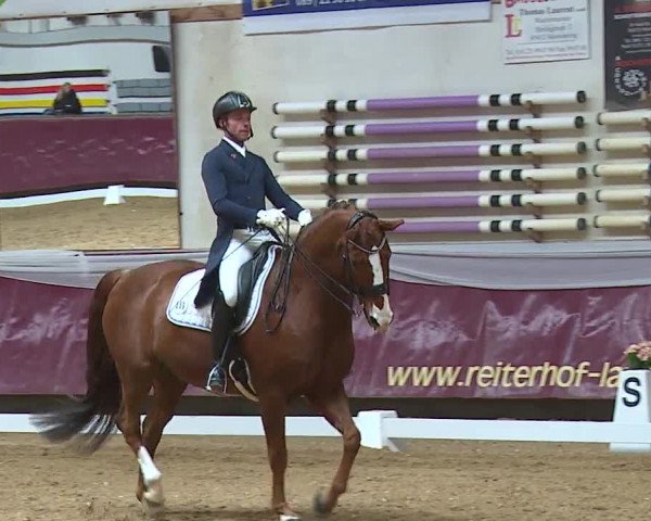 Reitturnier Eicherloh RH Laurent/Obb. 2024
