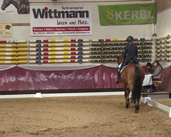 Reitturnier Eicherloh RH Laurent/Obb. 2024