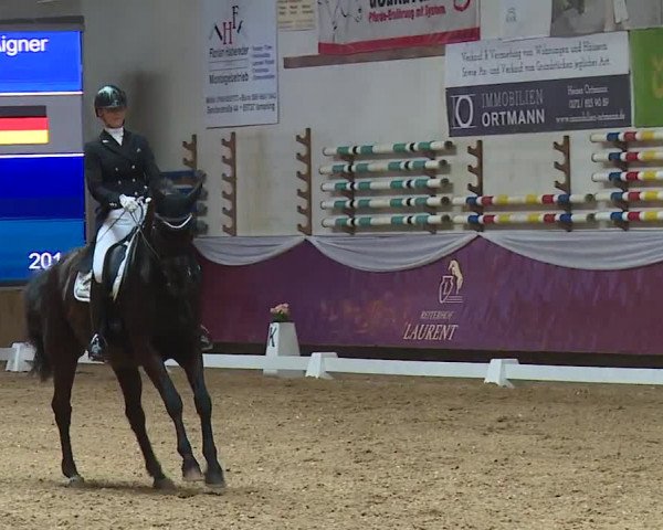 Reitturnier Eicherloh RH Laurent/Obb. 2024