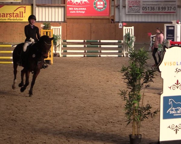 Reitturnier Schlieckau 2024