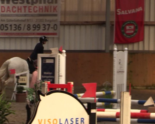 Reitturnier Schlieckau 2024