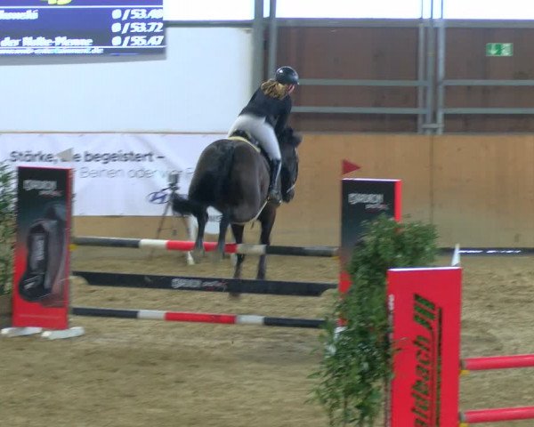 Reitturnier Borgholzhausen-Westbarthausen 2024
