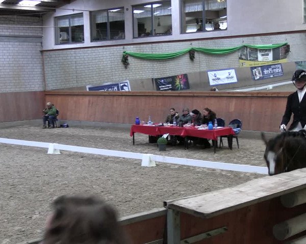 Reitturnier Leverkusen-Rheindorf 2024