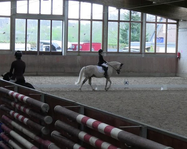 Reitturnier Leverkusen-Rheindorf 2024