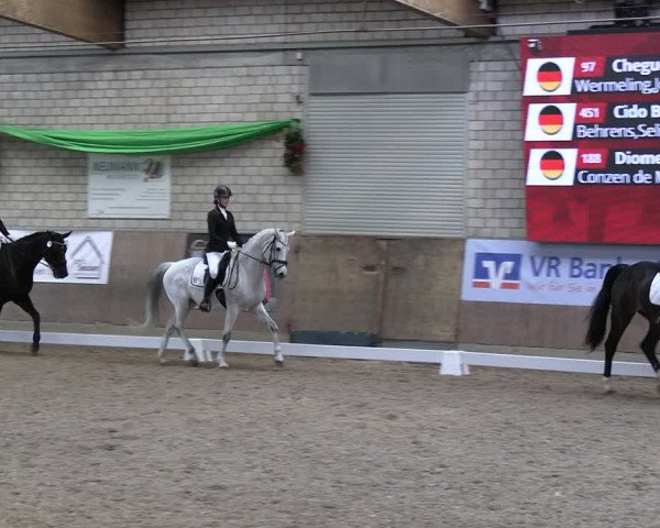 Reitturnier Leverkusen-Rheindorf 2024
