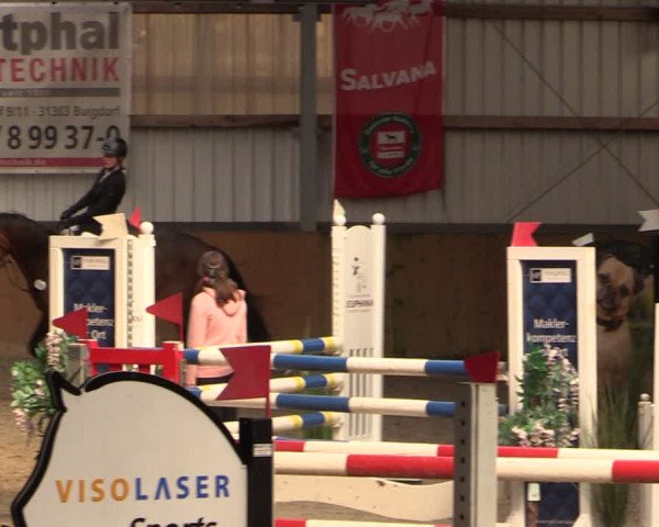 Reitturnier Schlieckau 2024