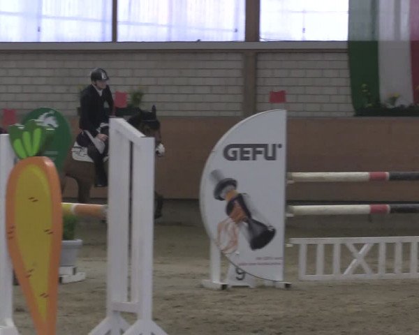 Reitturnier Hellefeld 2024