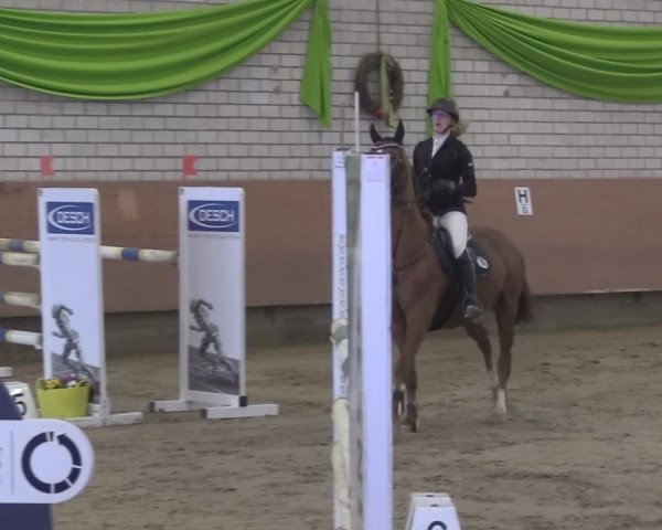 Reitturnier Hellefeld 2024
