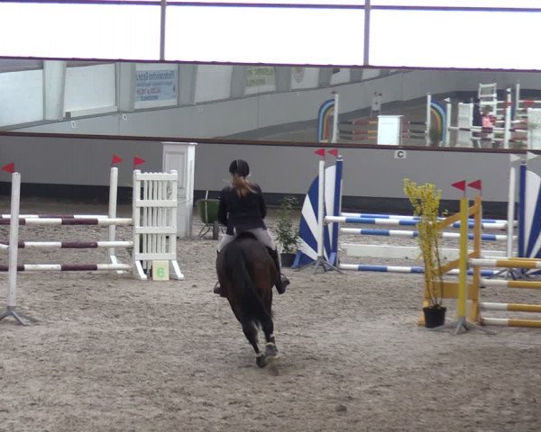 Reitturnier Münchehofe 2024