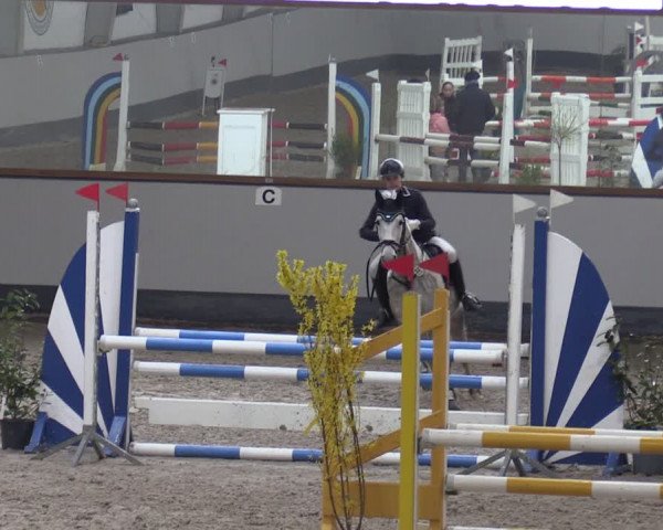 Reitturnier Münchehofe 2024