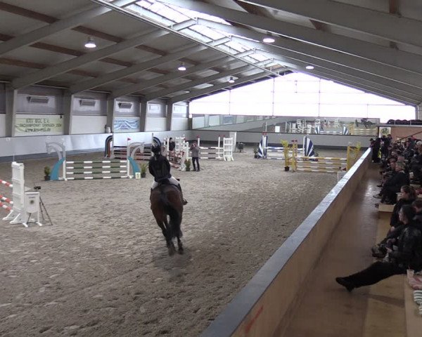 Reitturnier Münchehofe 2024