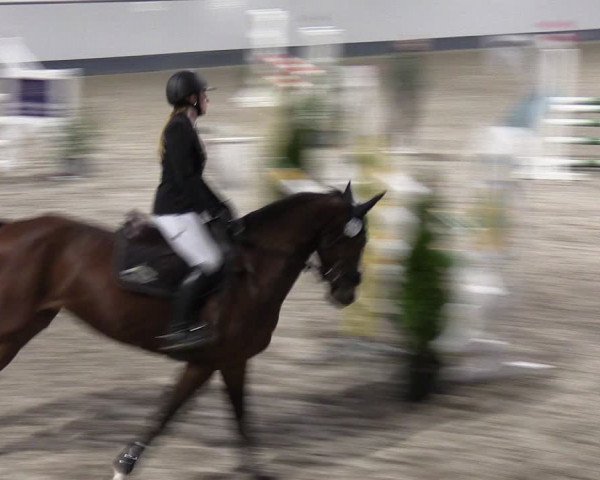 Reitturnier Münchehofe 2024