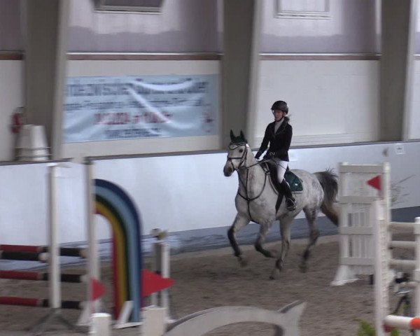 Reitturnier Münchehofe 2024