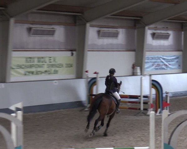 Reitturnier Münchehofe 2024
