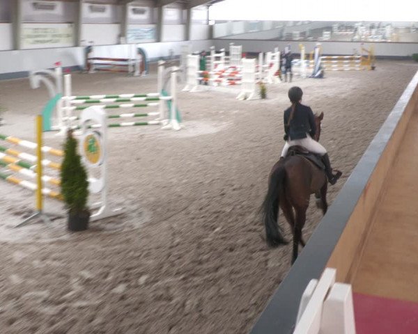 Reitturnier Münchehofe 2024