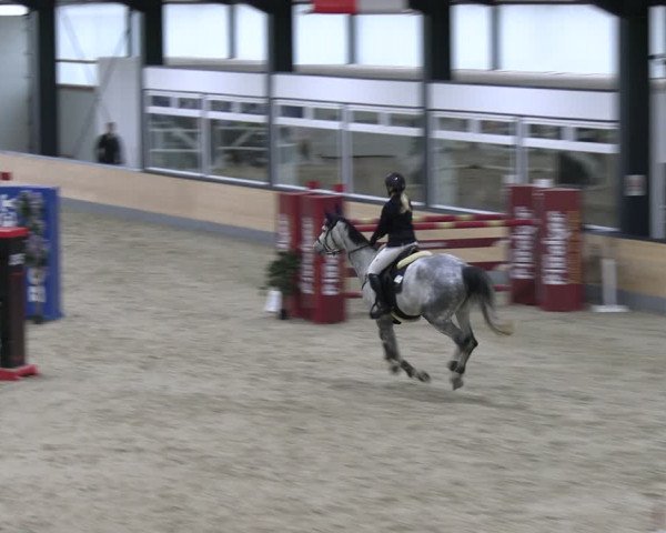 Reitturnier Borken 2024