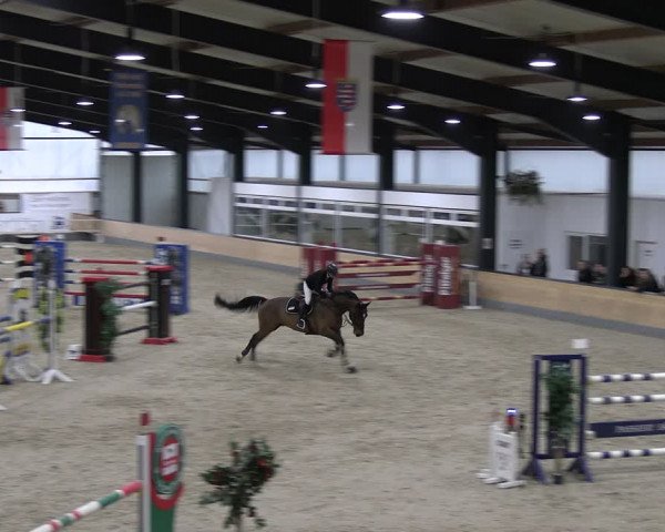 Reitturnier Borken 2024