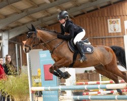 jumper Kennedy's Krack (German Riding Pony, 2008, from Kennedy WE)