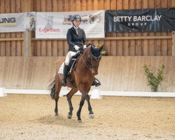 dressage horse San Santiano (German Warmblood, 2012, from Sandoro)