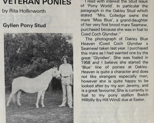 broodmare Oakley Blue Heaven (Welsh-Pony (Section B), 1958, from Coed Coch Glyndwr)