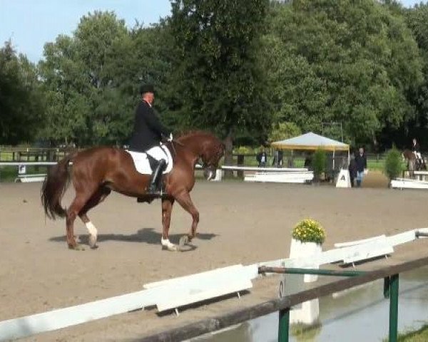 Sommerturnier Recklinghausen 2011