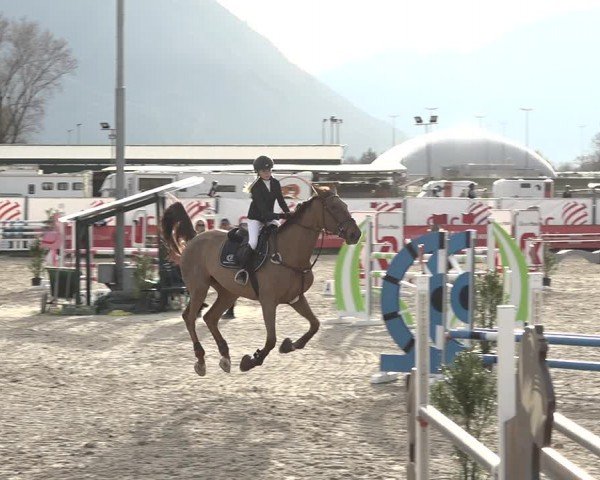 Reitturnier Giubiasco 2024