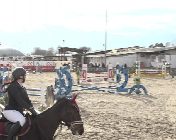 Reitturnier Giubiasco 2024