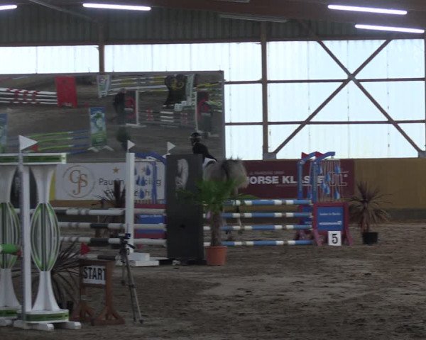 Reitturnier Pausin 2021